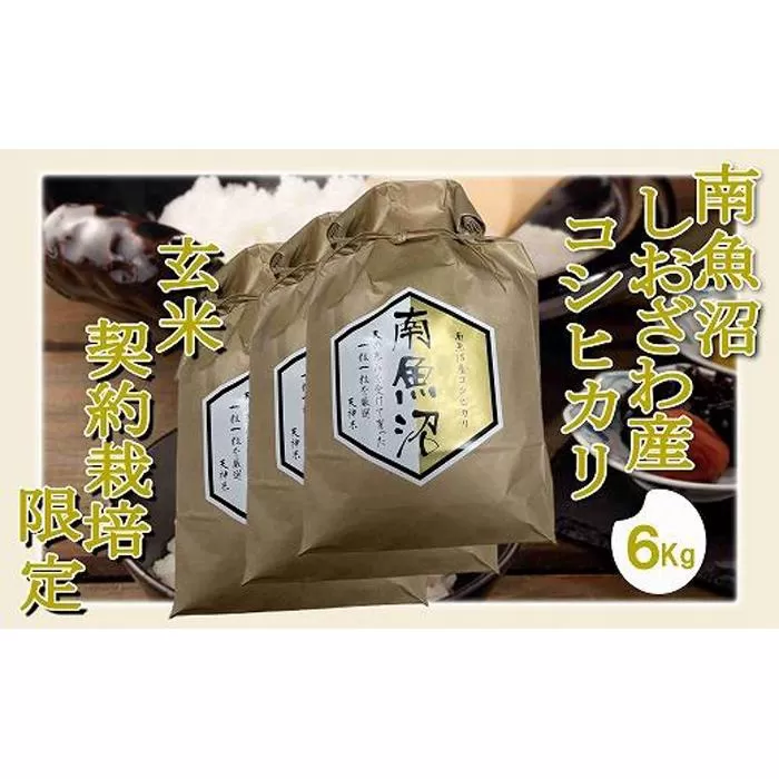 【令和7年産】【玄米６Kg】●玄米● 生産者限定 南魚沼しおざわ産コシヒカリ【2025年10月上旬より順次発送予定】