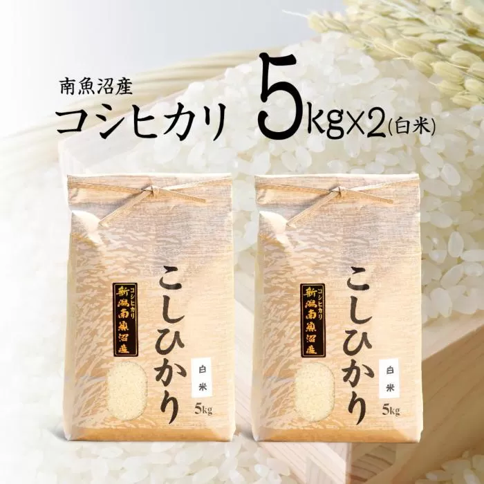 【令和7年産 新米予約】南魚沼産コシヒカリ（白米）【5kg×2】【令和7年10月中旬以降発送】【米 お米 こしひかり 南魚沼 米 白米 こめ 新潟 米】