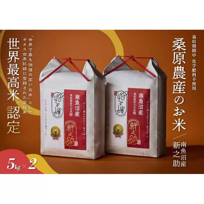 【R7年産新米予約】ギネス世界記録「世界最高米」認定 最高級南魚沼産新之助10kg(5kg×2) 桑原農産のお米【2025年10月下旬より順次発送予定】