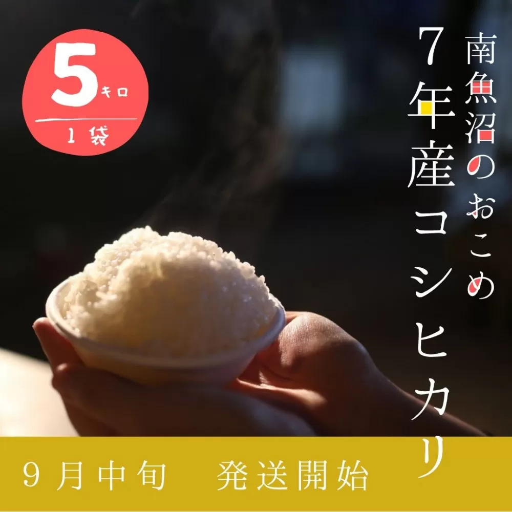 【令和7年産】5kg/南魚沼産コシヒカリ　うちやま農園のお米/発祥の地
