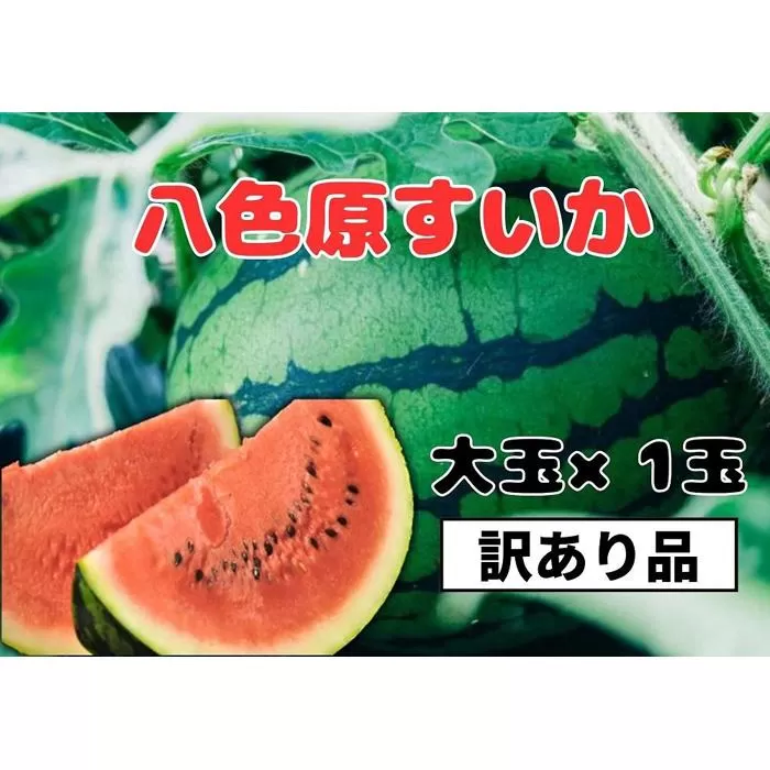 先行予約【わけあり品】八色原すいか大玉１玉【2026年7月下旬発送】【お届け日時指定不可】