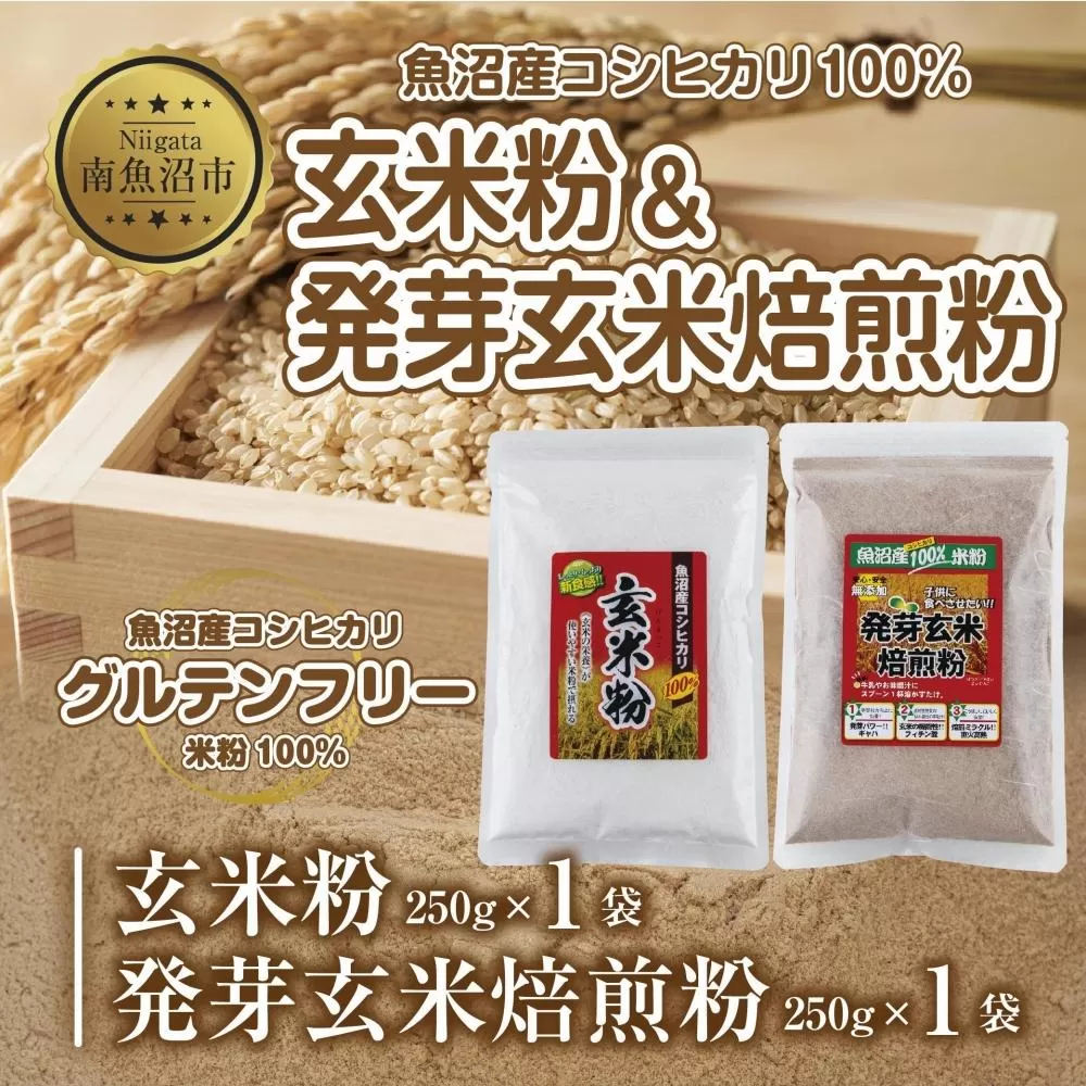 ES490 新潟県産 玄米粉 発芽玄米焙煎粉 セット 各250g 計500g 魚沼産 コシヒカリ 玄米 アレルギー グルテンフリー GABA 米粉 お取り寄せ お菓子 パン作り 製菓 コパフーズ 新潟県 南魚沼市