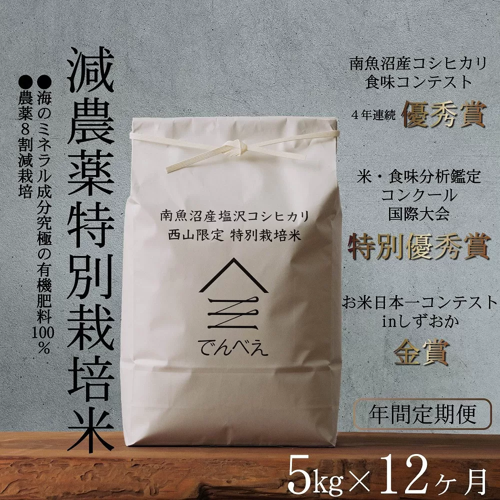 【年間定期便令和7年産新米予約】南魚沼食味コンクール4年連続優秀賞　減農薬特別栽培米5kg×12回　南魚沼塩沢産コシヒカリ【2025年9月中旬より順次発送予定】