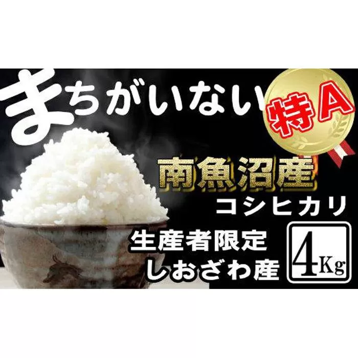 【令和7年産】生産者限定/契約栽培 南魚沼しおざわ産コシヒカリ4Kg【2025年10月上旬より順次発送予定】