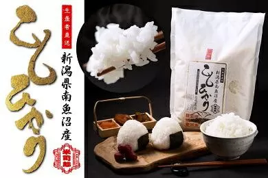 【令和6年産】【精米】自然農法/化学肥料不使用の南魚沼産こしひかり2kg