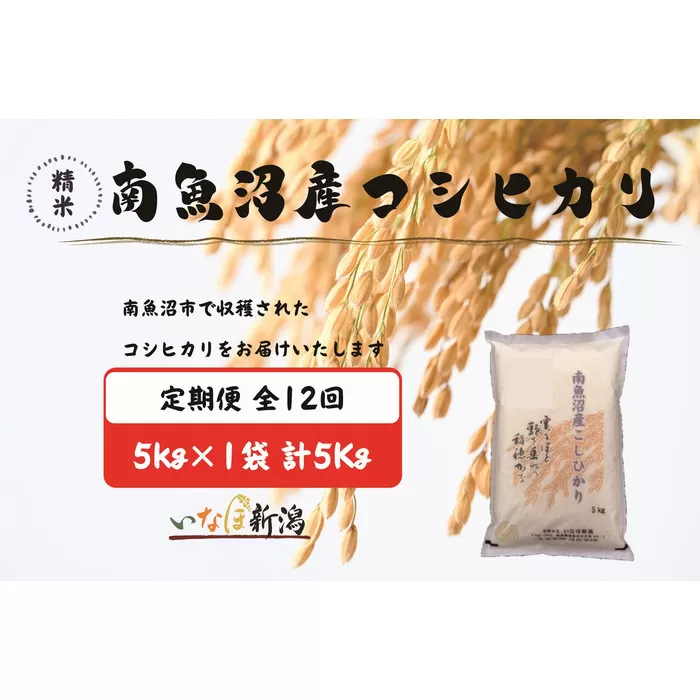 【令和7年産】【定期配送】南魚沼産コシヒカリ 白米 5kg 全12回【2025年10月上旬より順次発送予定】