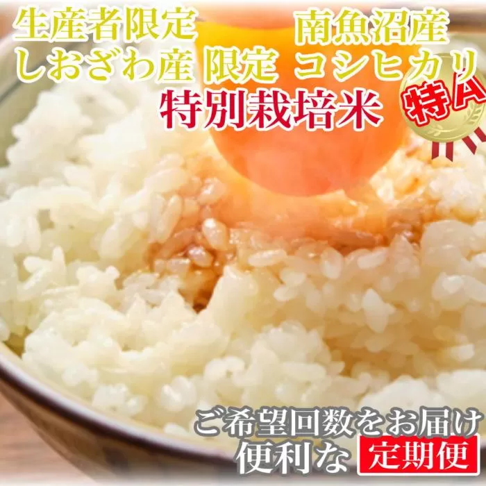 【令和7年産】【定期便8kg×9ヶ月】特別栽培 しおざわ産限定 生産者限定 南魚沼産コシヒカリ【2025年10月上旬より順次発送予定】