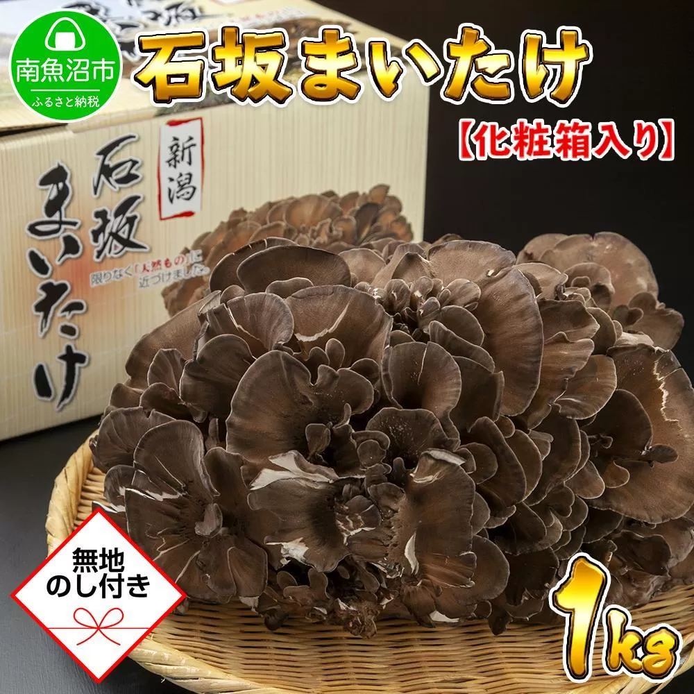 【無地のし】 新潟県 南魚沼産 厳選 国産 石坂 高級 舞茸 まいたけ 産地直送 1kg 贈り物 ギフト お中元 お歳暮 石坂きのこ