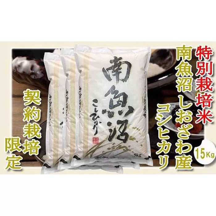 【令和7年産】【精米１５Kg】特別栽培 生産者限定  南魚沼しおざわ産コシヒカリ【2025年10月上旬より順次発送予定】