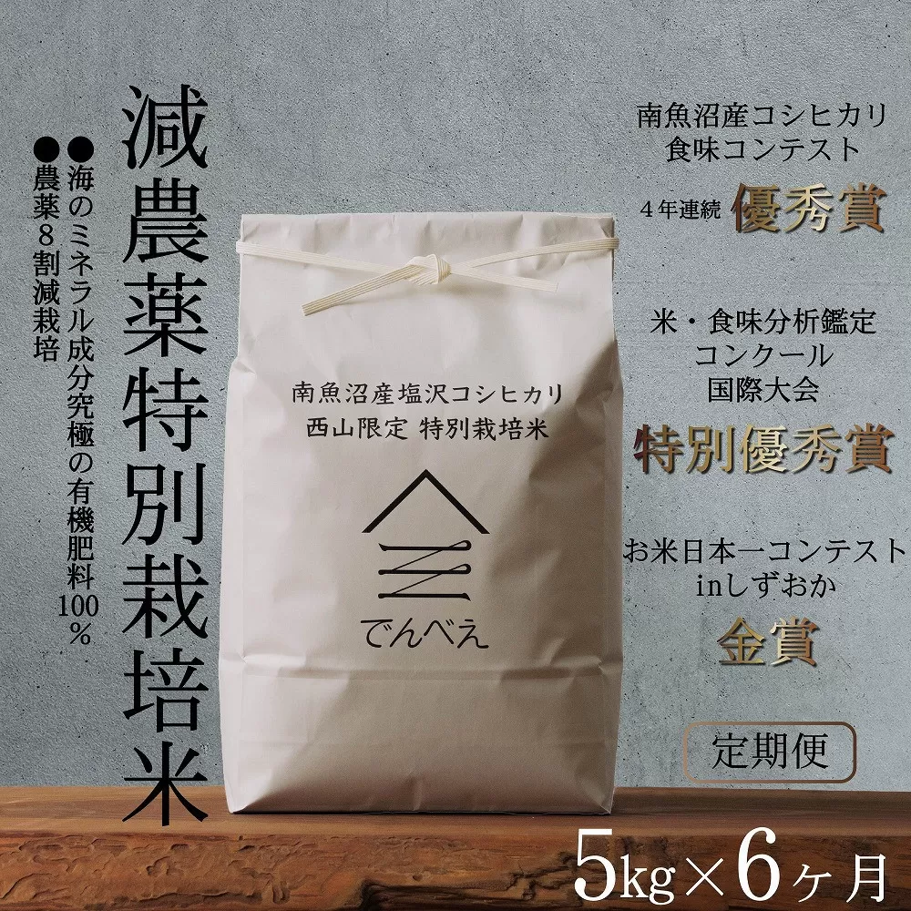 【定期便令和7年産新米予約】南魚沼食味コンクール4年連続優秀賞　減農薬特別栽培米5kg×6回　南魚沼塩沢産コシヒカリ【2025年9月中旬より順次発送予定】