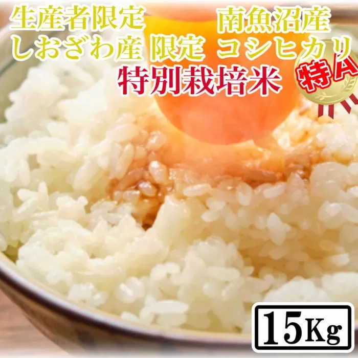 【令和7年産】【精米15kg】特別栽培 しおざわ産限定 生産者限定 南魚沼産コシヒカリ【2025年10月上旬より順次発送予定】