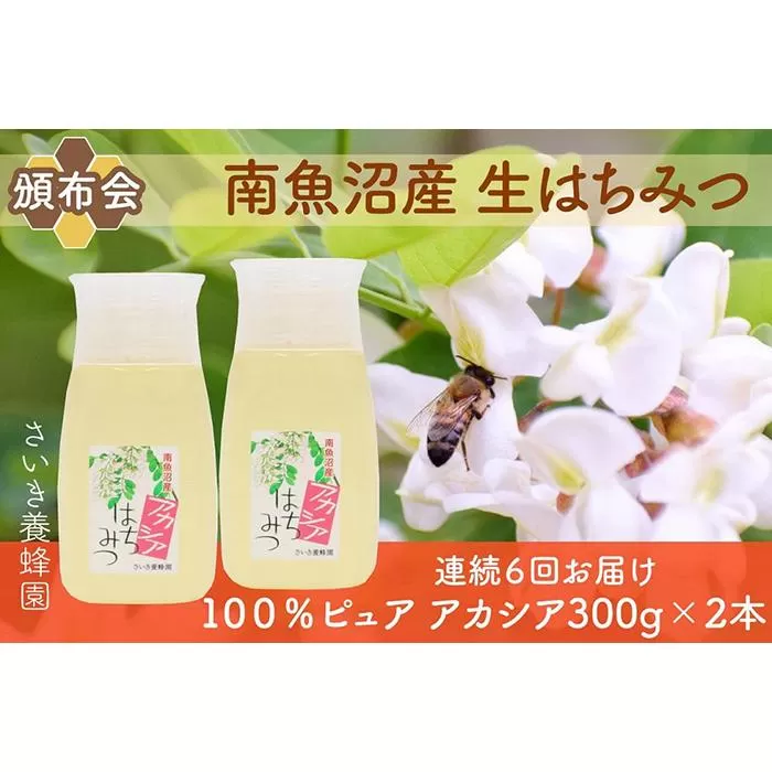 【頒布会】さいき養蜂園　　天然ピュア蜂蜜　アカシア３００ｇ×２本　6か月連続お届け