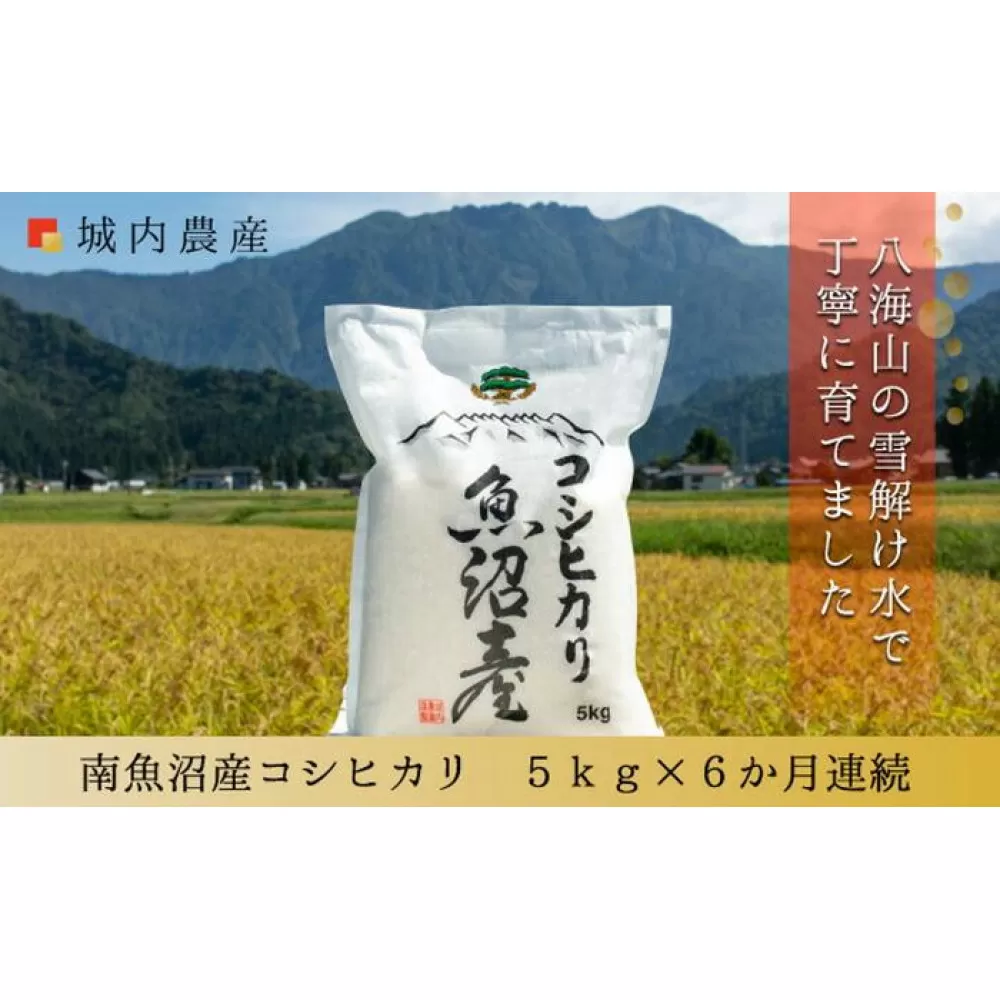 【令和７年産新米予約】【お米定期便/全６回】南魚沼産コシヒカリ　白米５ｋｇ＜５割減農薬栽培米＞ 城内農産【2025年10月上旬より順次発送予定】
