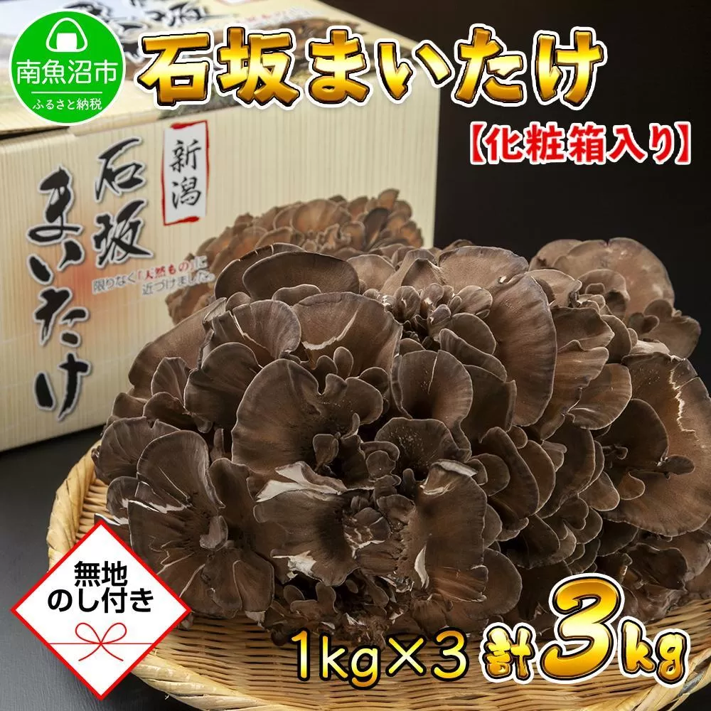 【無地のし】 新潟県 南魚沼産 厳選 国産 石坂 高級 舞茸 まいたけ 産地直送 1kg ×3箱 計3kg 贈り物 ギフト お中元 お歳暮 石坂きのこ