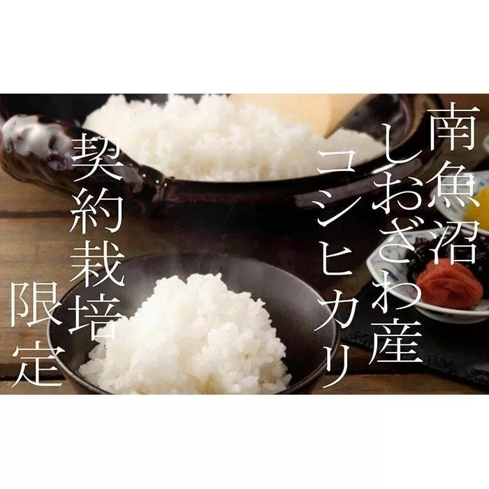 【令和7年産】【定期便】契約栽培限定 契約栽培 南魚沼しおざわ産コシヒカリ２Kg×12ヶ月【2025年10月上旬より順次発送予定】