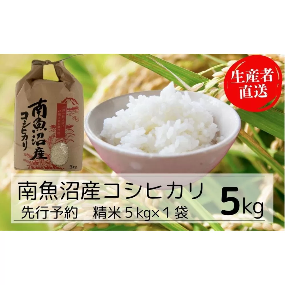 【令和7年産新米予約】南魚沼産コシヒカリ特A（精米5kg）【2025年10月下旬より順次発送予定】