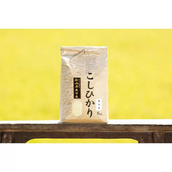【頒布会】【令和7年産 新米予約】南魚沼産コシヒカリ（無洗米5kg×全3回）【令和7年11月上旬より順次発送予定】