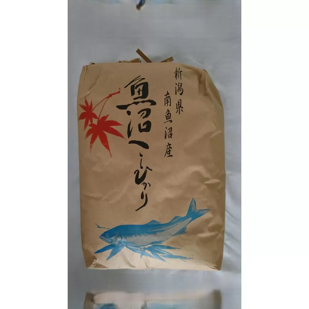 【令和7年新米】魚沼産しおざわコシヒカリ玄米2０kg