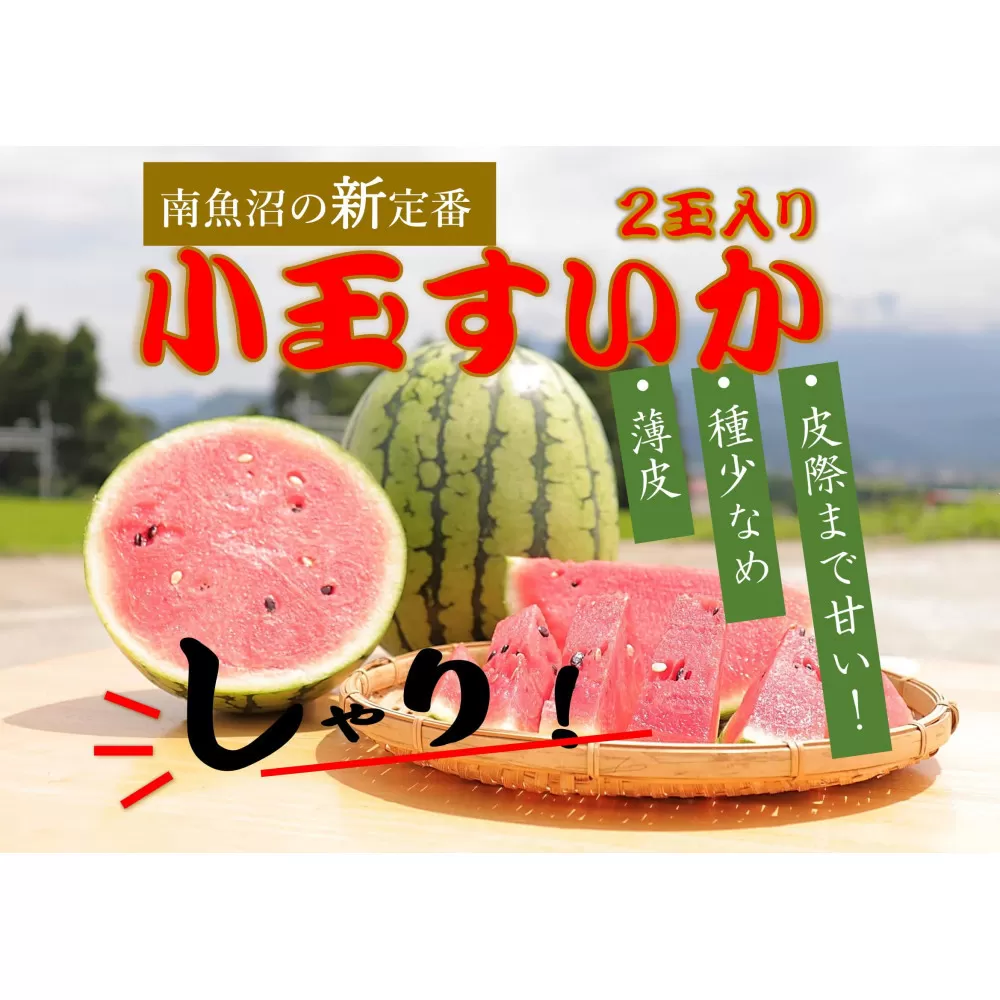 【令和8年/小玉すいか予約】パリ！シャリ！甘～い！2玉入り【食べきりサイズ】【2026年7月中旬より発送予定】