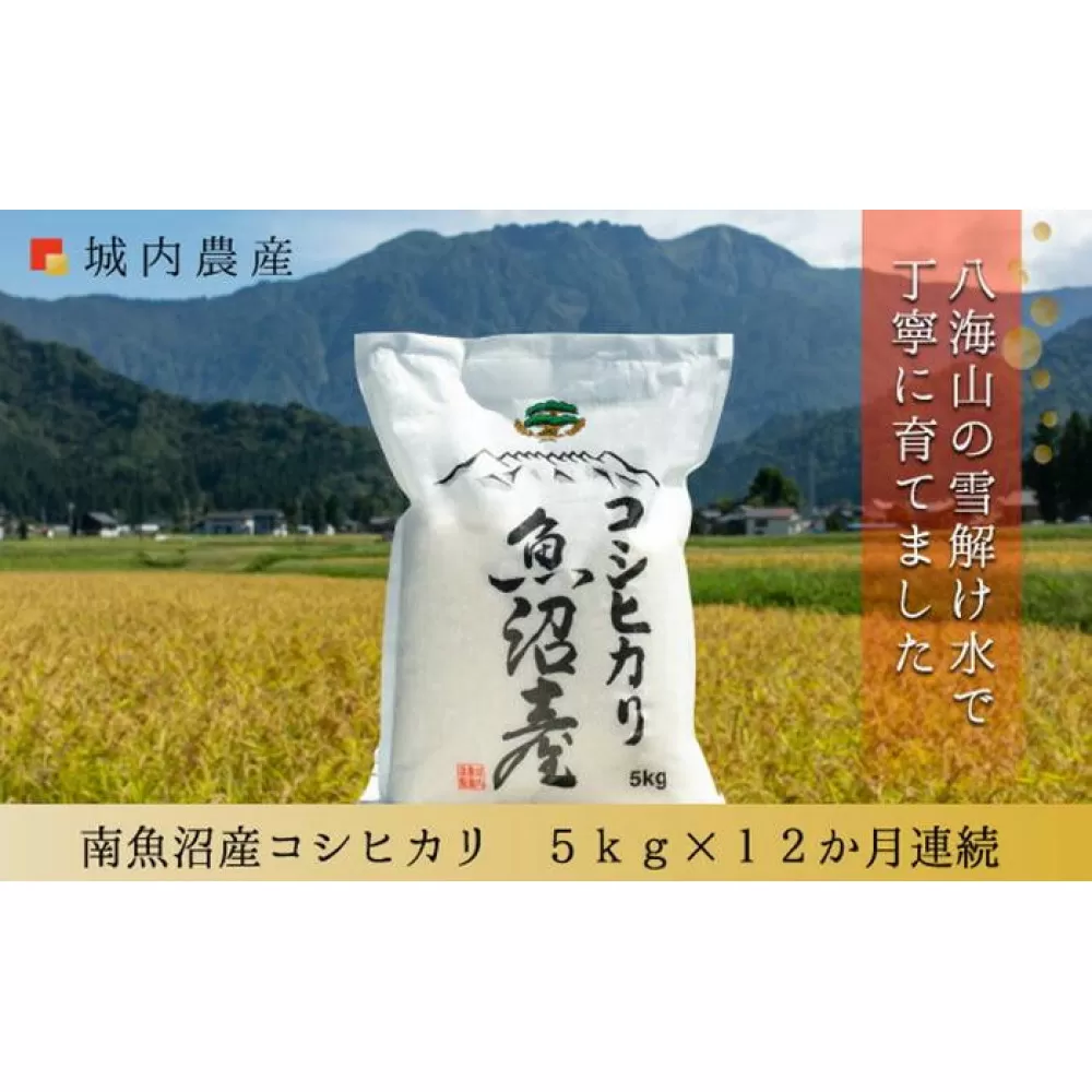 【令和７年産新米予約】【お米定期便/全１２回】南魚沼産コシヒカリ　白米５ｋｇ＜５割減農薬栽培米＞城内農産【2025年10月上旬より順次発送予定】
