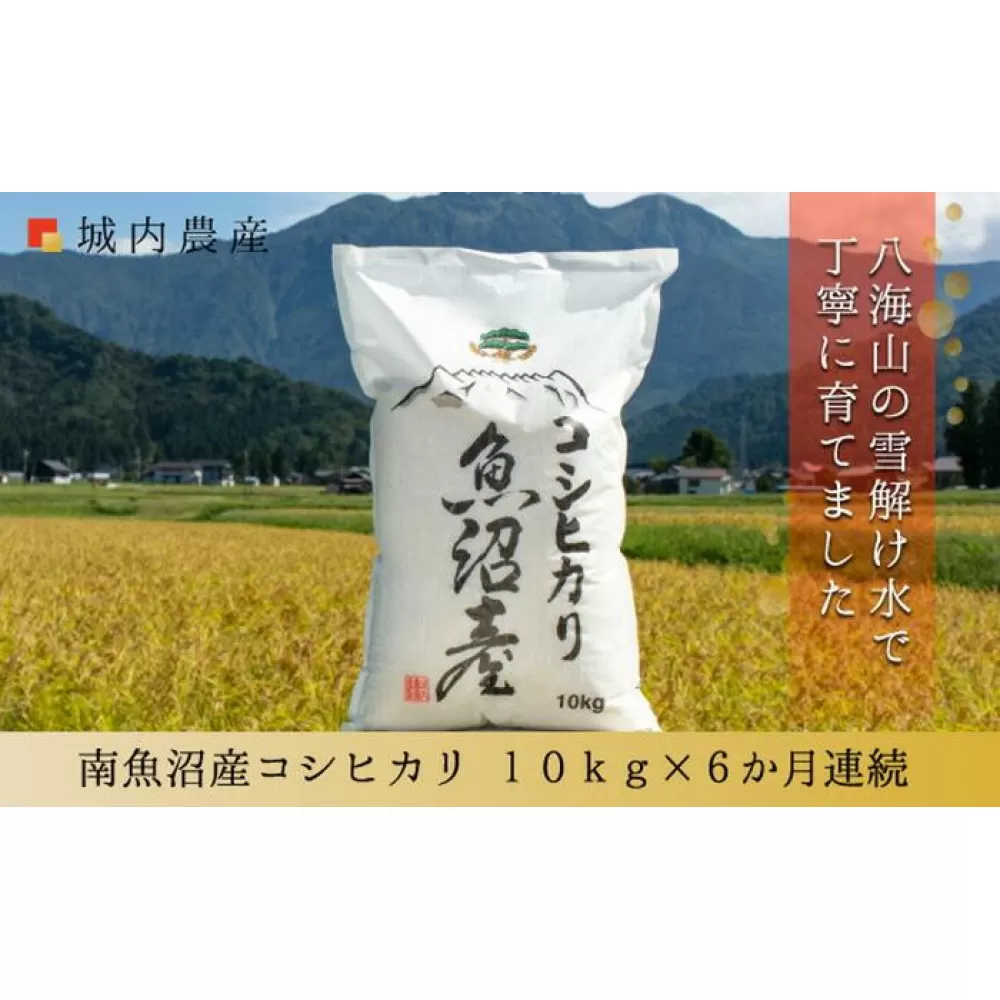 【令和７年産新米予約】【お米定期便/全６回】南魚沼産コシヒカリ　白米１０ｋｇ＜５割減農薬栽培米＞城内農産【2025年10月上旬より順次発送予定】