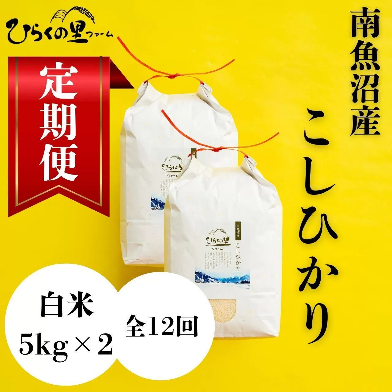 【定期便　令和7年産新米予約】（全12ヶ月）もっちり甘い！南魚沼産コシヒカリ 白米5kg×2 ひらくの里ファーム【2025年10月上旬より順次発送予定】