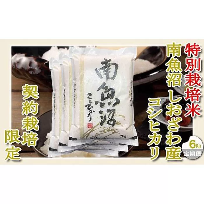 【令和7年産】【定期配送6Kg×6ヶ月】特別栽培 生産者限定 南魚沼しおざわ産コシヒカリ【2025年10月上旬より順次発送予定】