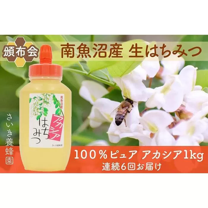 【頒布会】さいき養蜂園　　天然ピュア蜂蜜　アカシア１ｋｇ　6か月連続お届け