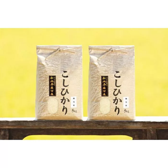 【頒布会】【令和7年産 新米予約】南魚沼産コシヒカリ（無洗米10kg×全3回）【令和7年11月上旬より順次発送予定】