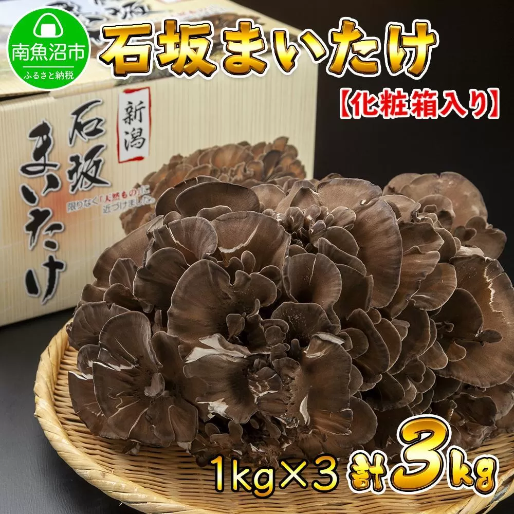 新潟県 南魚沼産 厳選 国産 石坂 高級 舞茸 産地直送 1kg ×3箱 計3kg 石坂きのこ