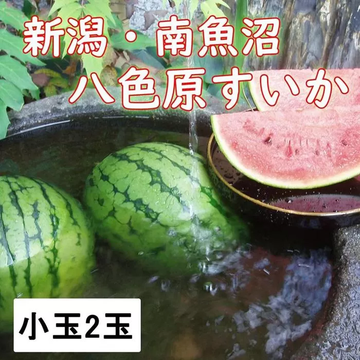 【新潟県 南魚沼産】八色原スイカ小玉２玉