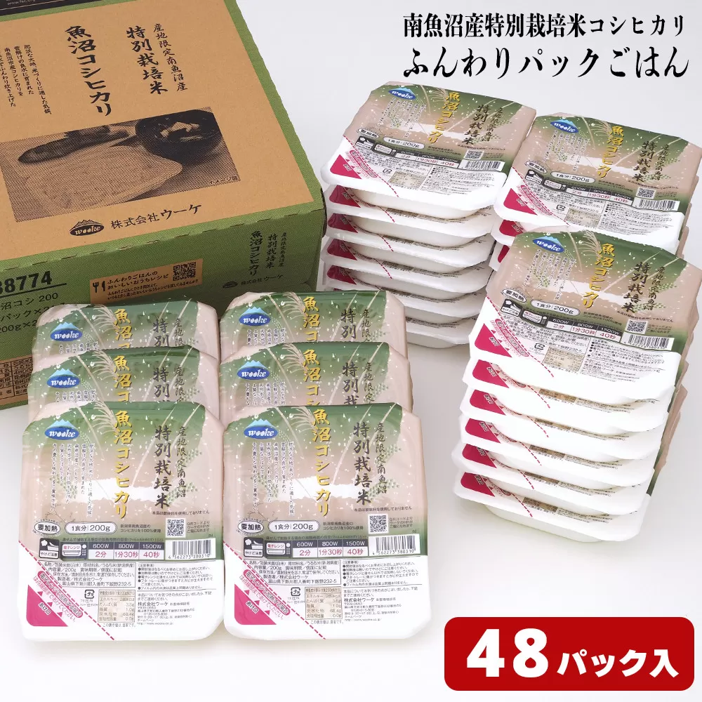 早い!簡単!美味しい!ふんわりパックごはん200g×48パック（24パック×2箱）