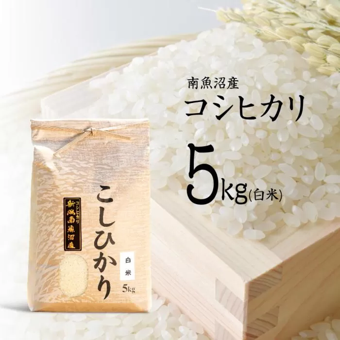 【令和7年産 新米予約】南魚沼産コシヒカリ（白米）【5kg】【令和7年10月中旬以降発送】【米 お米 こしひかり 南魚沼 米 白米 こめ 新潟 米】