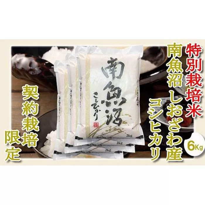【令和7年産】【精米６Kg】特別栽培 生産者限定  南魚沼しおざわ産コシヒカリ【2025年10月上旬より順次発送予定】