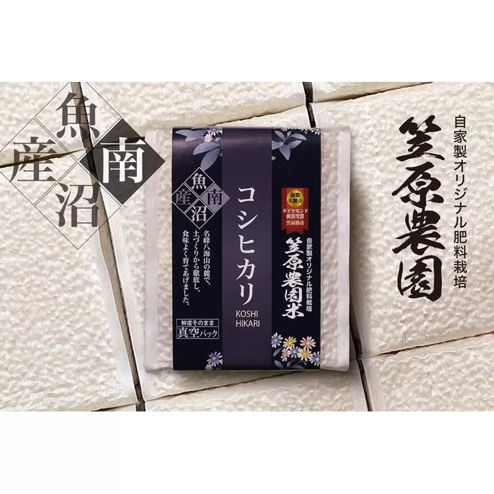 【令和７年産新米予約／令和７年（2025年）９月上旬より順次発送】南魚沼産 笠原農園米 コシヒカリ ３合真空パック２０個（簡易包装）