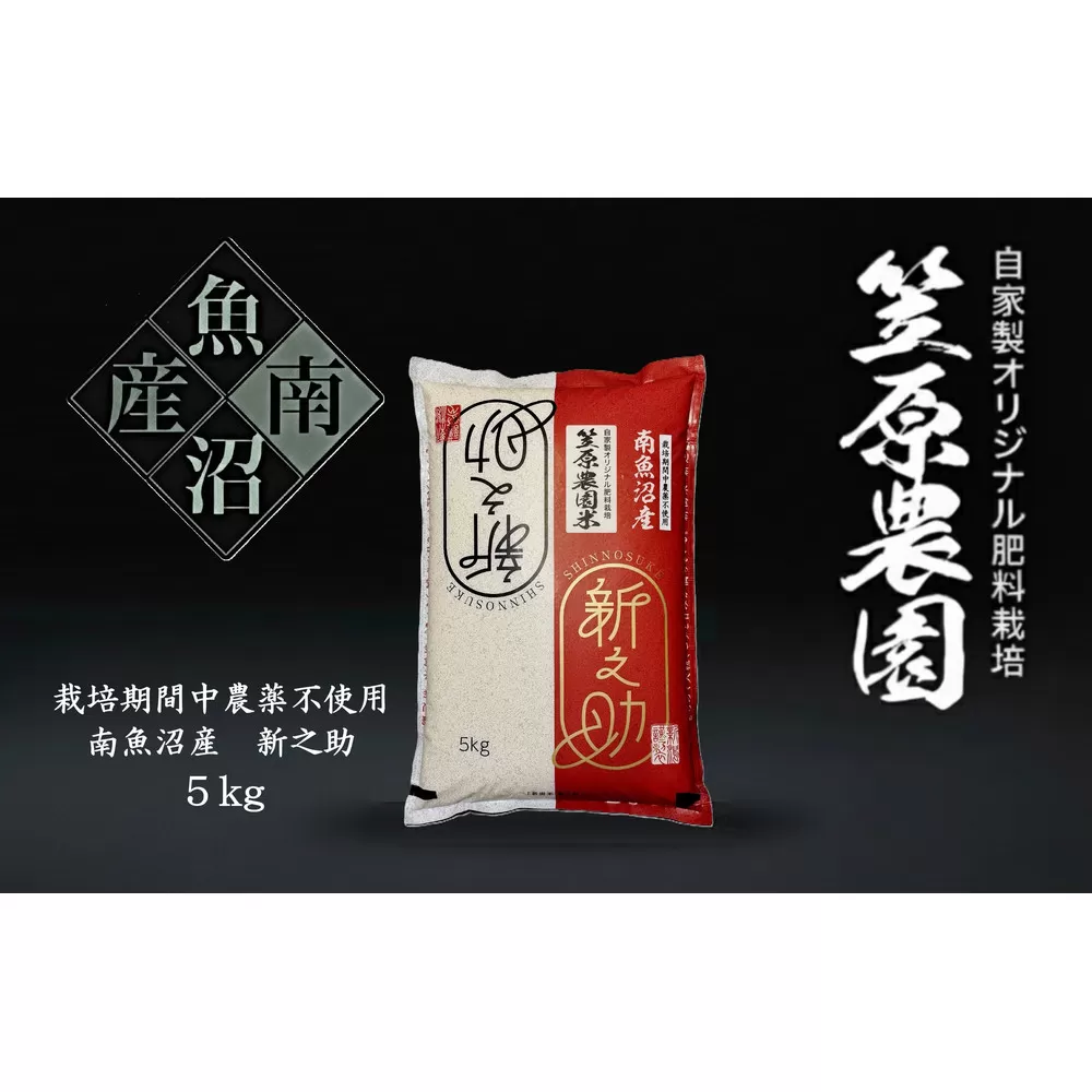 【令和7年産新米】南魚沼産 笠原農園米 栽培期間中農薬不使用 新之助 5kg