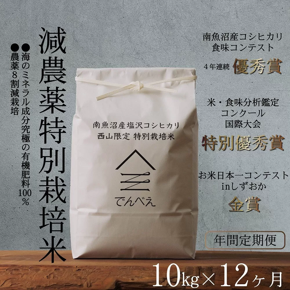 【年間定期便令和7年産新米予約】南魚沼食味コンクール4年連続優秀賞　減農薬特別栽培米10kg×12回　南魚沼塩沢産コシヒカリ【2025年9月中旬より順次発送予定】