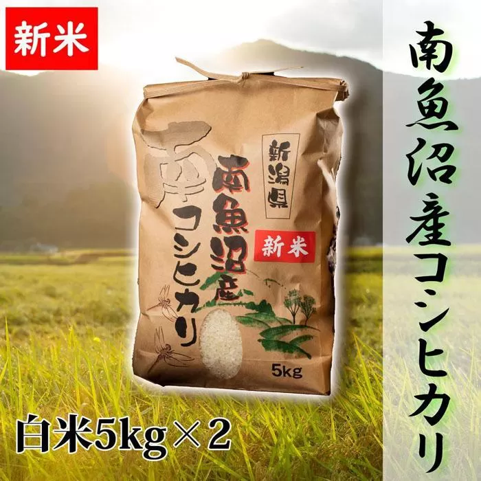 【予約】【令和6年産 新米】【高級】南魚沼産こしひかり5kg×2袋（白米）新潟県 特A地区の美味しいお米。