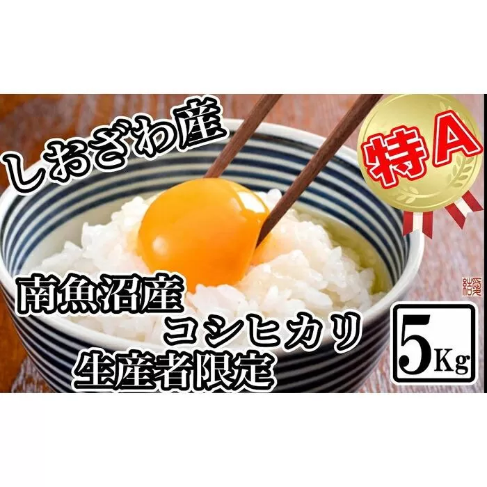 【令和7年産】【生産者限定 契約栽培】南魚沼しおざわ産コシヒカリ5kg【2025年10月上旬より順次発送予定】