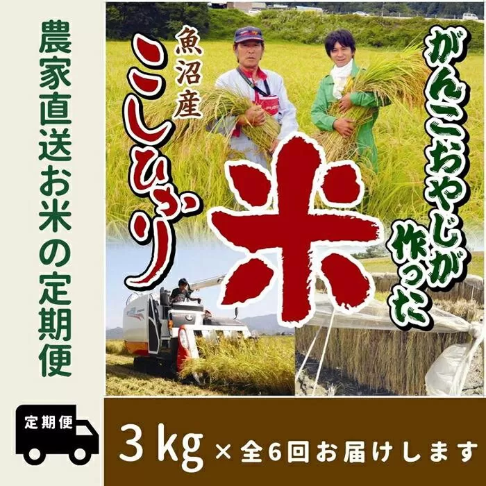 【令和７年産新米予約】6か月定期便　がんこおやじが作った南魚沼産コシヒカリ白米３kg【2025年10月20日頃より順次発送予定】