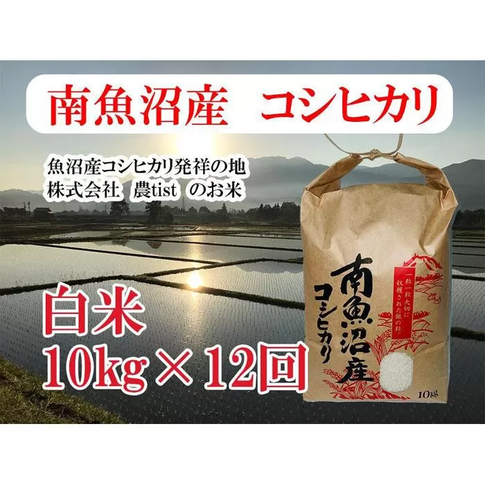 【令和7年産】【定期便 南魚沼産】コシヒカリ 白米10kg×12回【2025年9月中旬より順次発送予定】