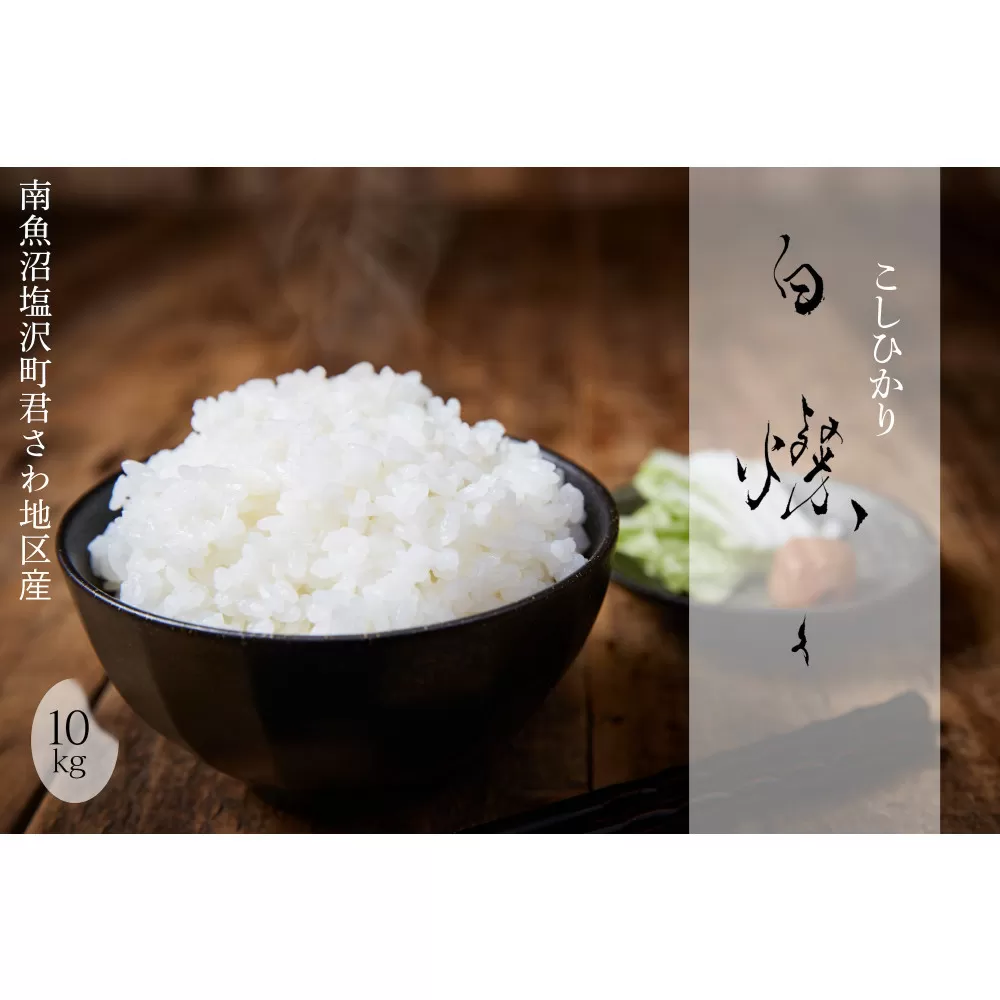 【令和7年産新米】南魚沼君沢産こしひかり 白燦々10kg（BL品種）