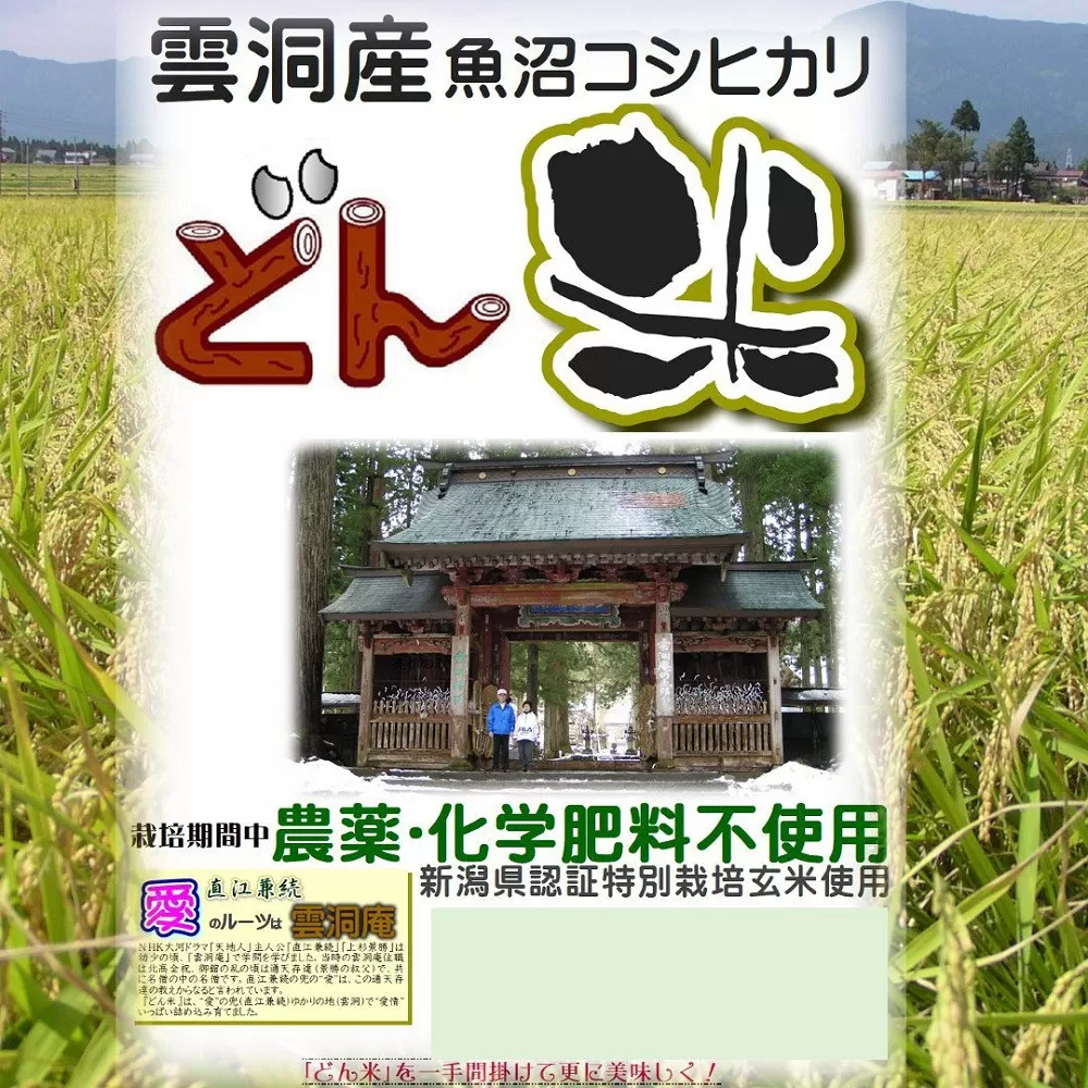 【頒布会】南魚沼産「どん米」白米真空パック8kg×５ヶ月　ちょっと！うるさいよ！炊き方