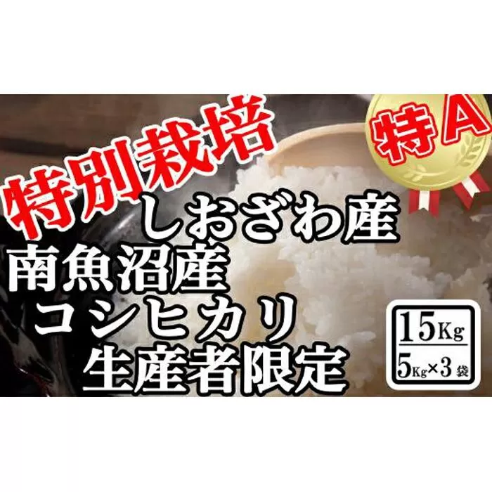 【令和7年産】特別栽培 生産者限定 南魚沼しおざわ産コシヒカリ15Kg【2025年10月上旬より順次発送予定】