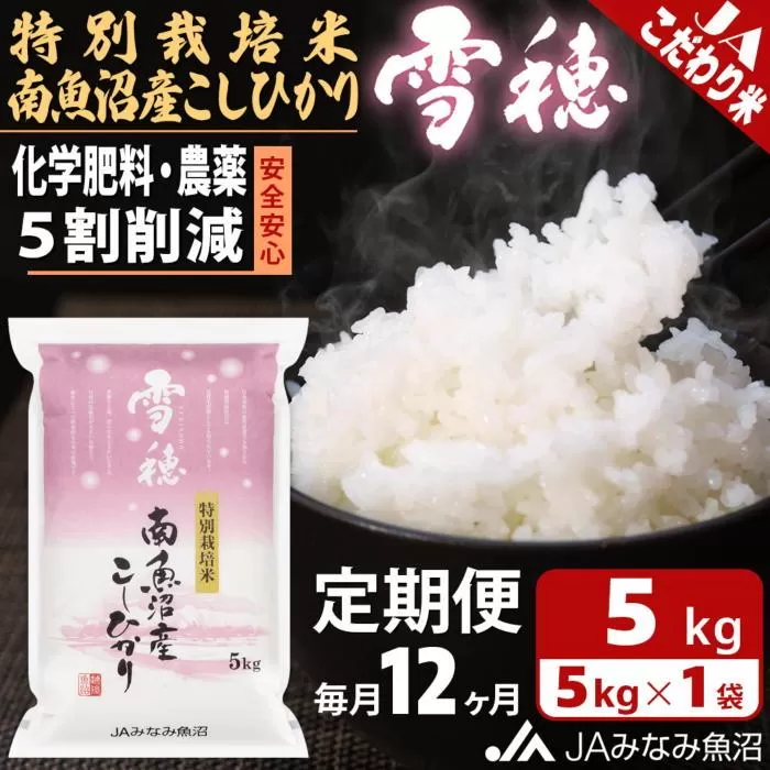 【JAみなみ魚沼定期便】特別栽培米南魚沼産こしひかり「雪穂」（5kg×全12回）精米 農薬5割削減 精米HACCP認定工場 特A獲得日本一産地 高品質精米 もっちり甘い 南魚沼産コシヒカリ