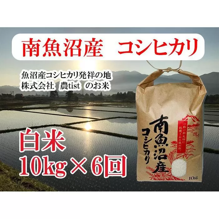 【令和7年産】【定期便 南魚沼産】コシヒカリ 白米10kg×6回【2025年9月中旬より順次発送予定】