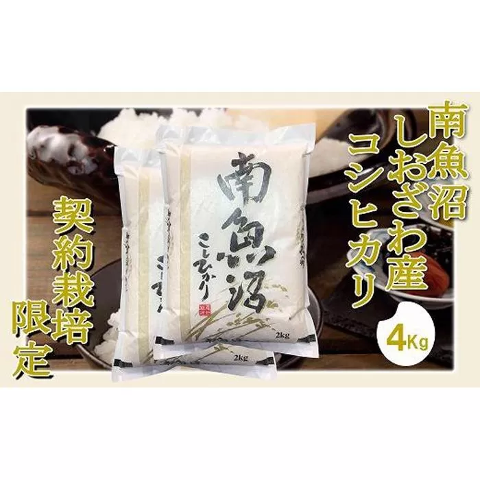 【令和7年産】【精米4Kg】契約栽培限定 南魚沼しおざわ産コシヒカリ【2025年10月上旬より順次発送予定】
