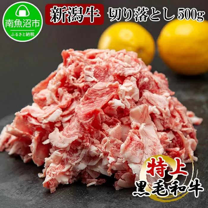 ES65 新潟牛 南魚沼産 にいがた 黒毛和牛 切り落とし 500ｇ