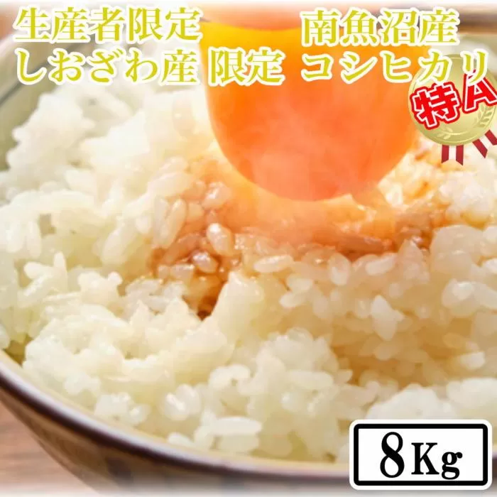 【令和7年産】【精米8kg】しおざわ産限定 生産者限定 南魚沼産コシヒカリ【2025年10月上旬より順次発送予定】