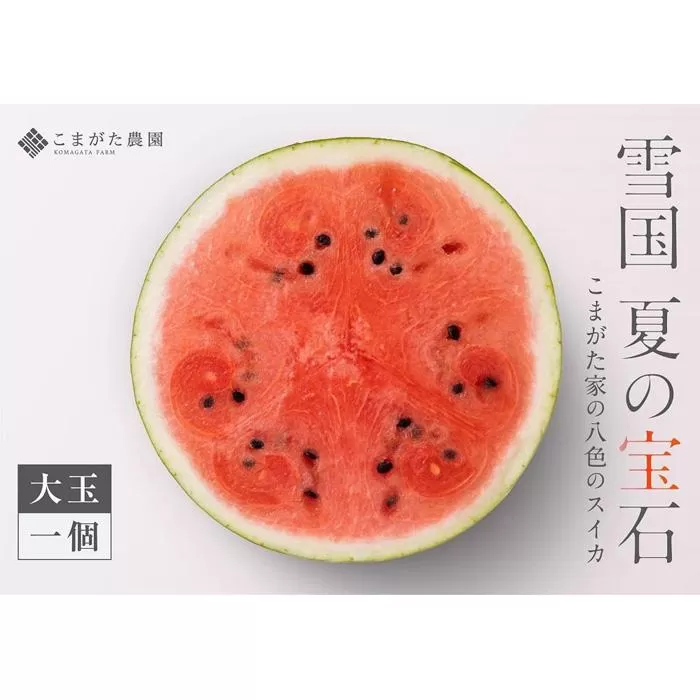 【2025年7月中旬発送予定】高級南魚沼八色産スイカ「こまがた家の八色のスイカ」プレミアム大玉 1玉